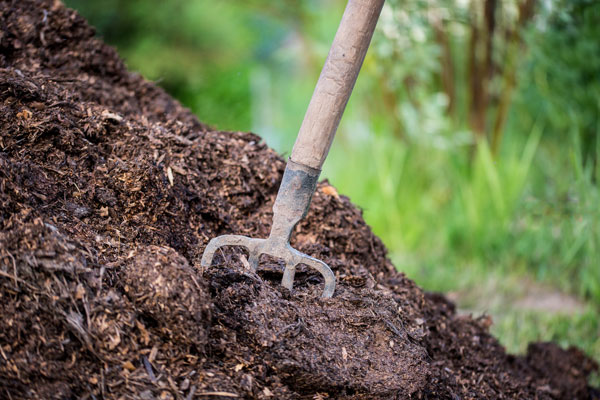 Manure pile with fork